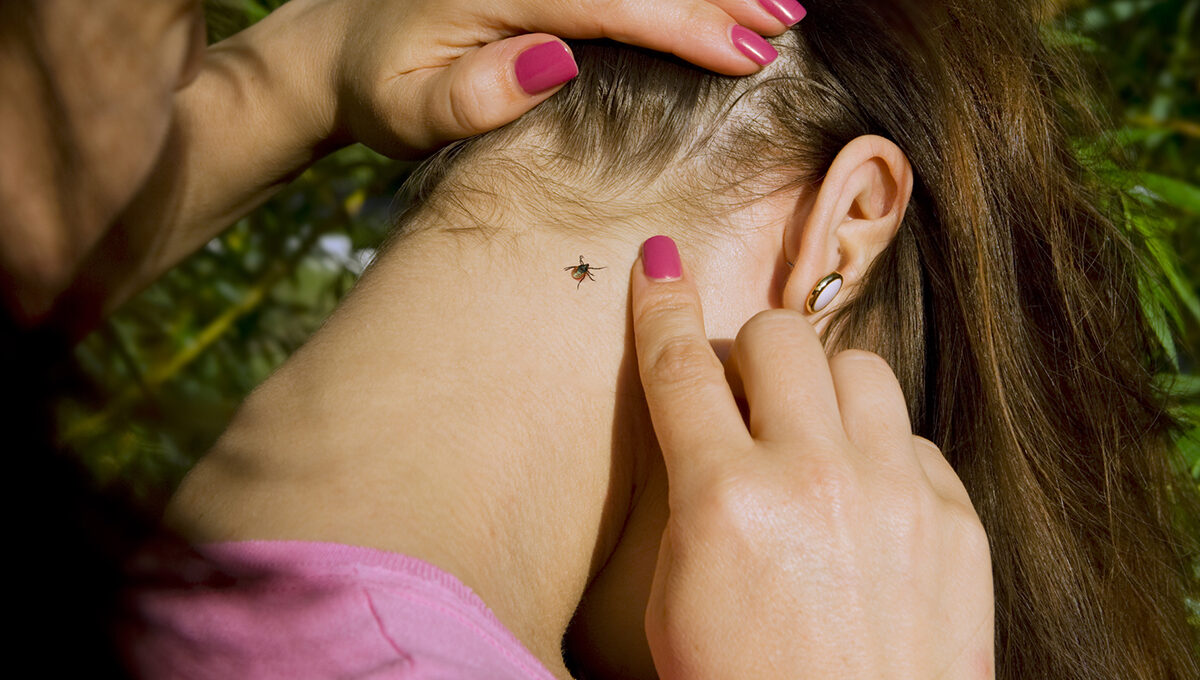 Що робити, якщо вас укусив кліщ